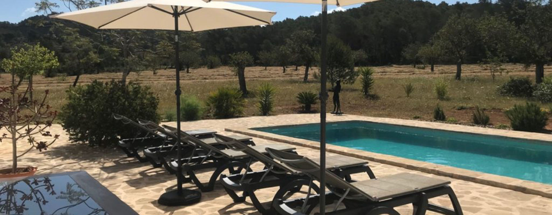 Villa Finca Gertrudis te huur op Ibiza - Zwembad
